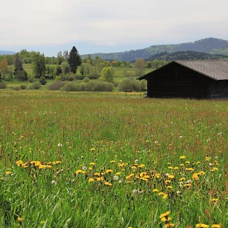 Na Starem Meste Wallern Exterior foto